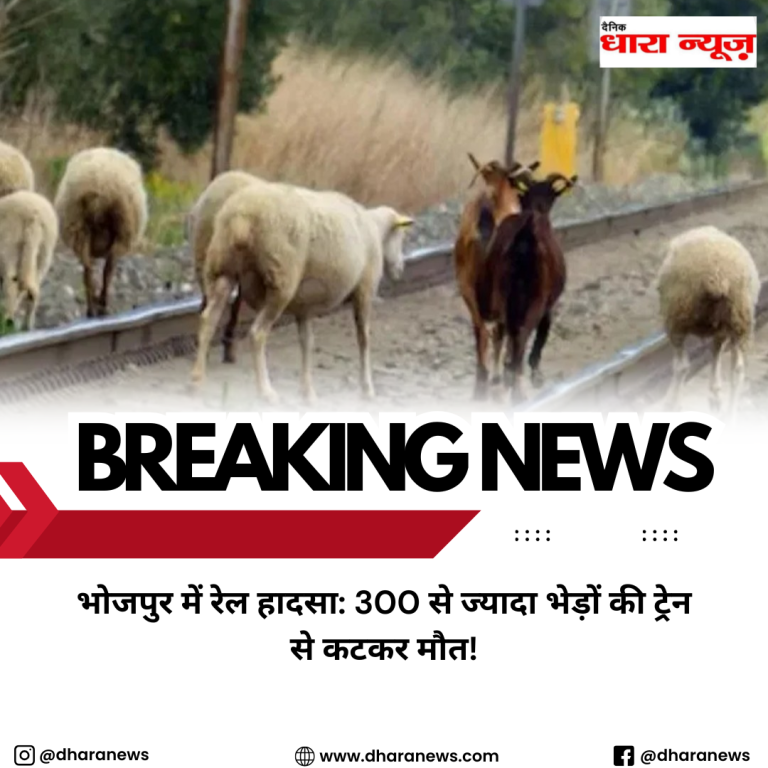 @dharanews (62)