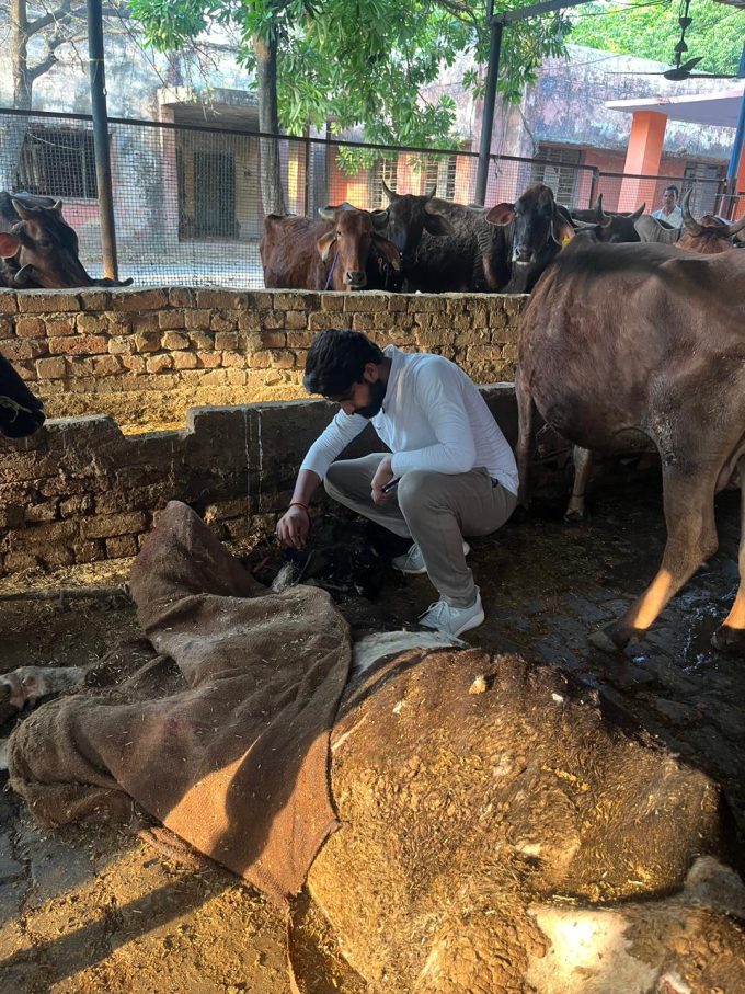 माछरा गौशाला का निरीक्षण