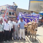 बैल ठेला खींचकर महंगाई विराेधी प्रदर्शन