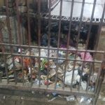 सफाई ना होने से नाले की गदंगी पहुंच रही घरों तक