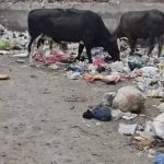 समस्याओं के अलावा कुछ और नहीं बक्सर में
