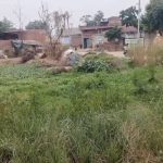 डीएम के आदेश मगर कब कब्जा मुक्त होगा तालाब