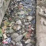 टीपीनगर इलाके में सिस्टम के भरोसे नहीं वाशिंदे