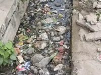 टीपीनगर इलाके में सिस्टम के भरोसे नहीं वाशिंदे