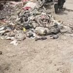 बारिश की चंद बूंदों से वार्ड 8 का इलाका दलदली
