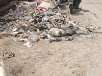 बारिश की चंद बूंदों से वार्ड 8 का इलाका दलदली