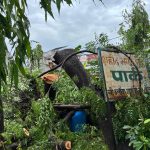 हरियाली के कातिलों पर शिकंजा तय