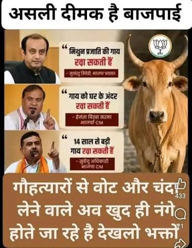 बीफ पर भाजपा के बड़े नेताओं को डबल स्टैंड