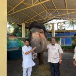 हथिनी माधुरी पर PETA को सुप्रीम फटकार