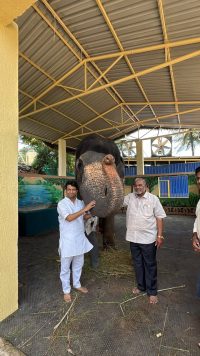हथिनी माधुरी पर PETA को सुप्रीम फटकार
