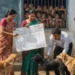 स्कूल कालेजों के प्रिंसिपल अब भगाएंगे कुत्ते